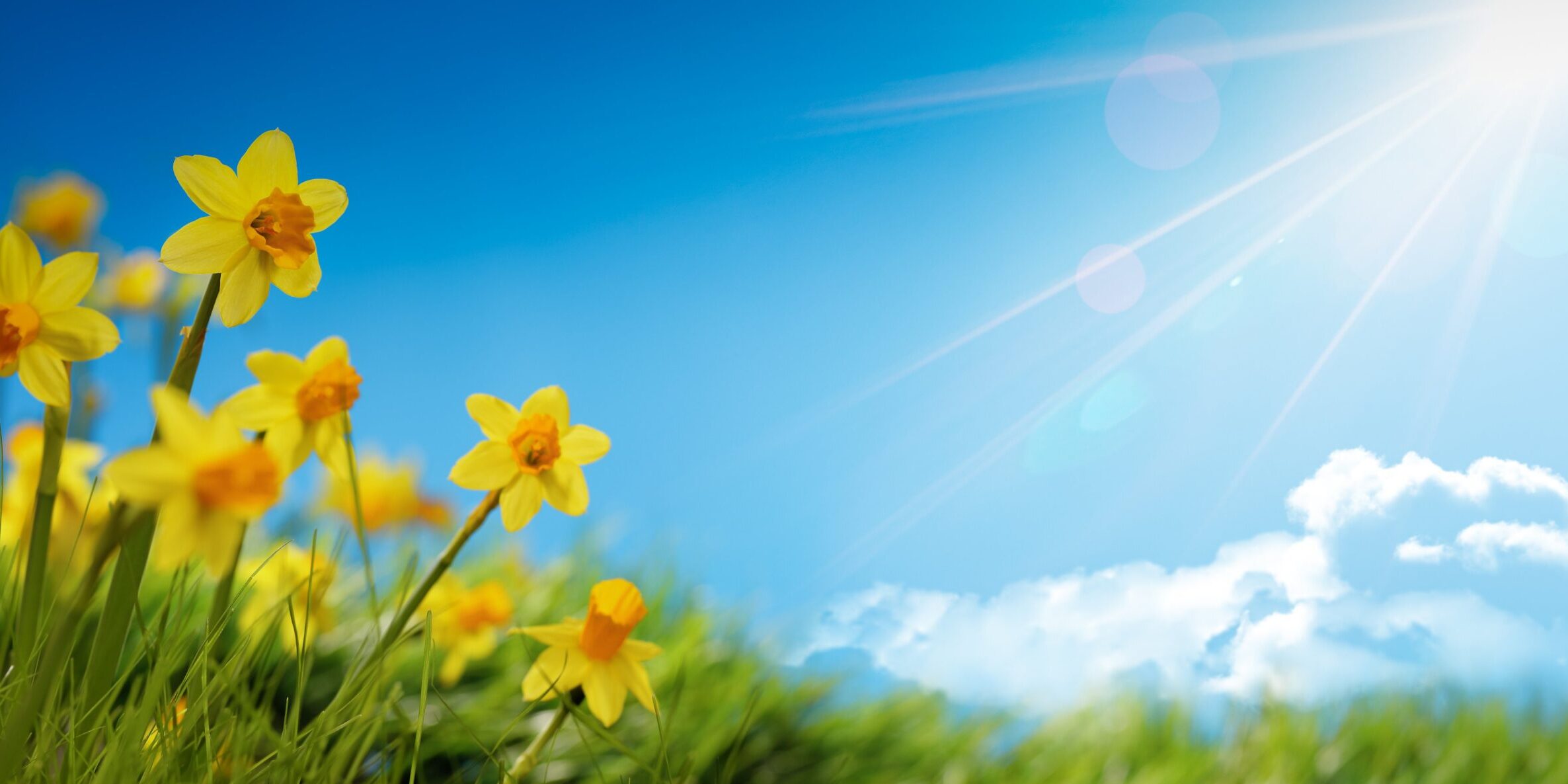 May Bank Holiday Opening Times 2023 May Bank Holiday Opening Times 2023