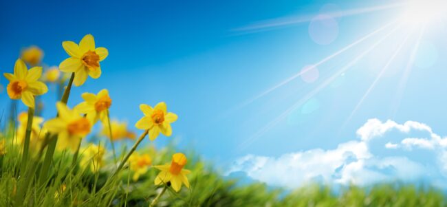 May Bank Holiday Opening Times 2023 May Bank Holiday Opening Times 2023